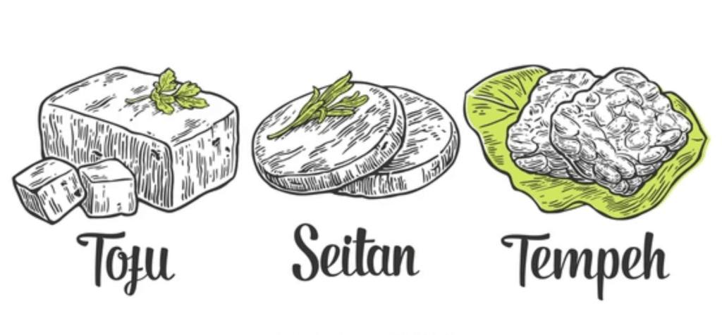 Ilustración tofu, tempeh y seitan juntos